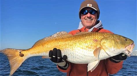 Exceptional Fishing Charters in Dauphin Island.